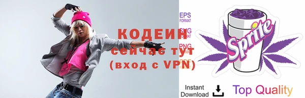 apvp Рославль