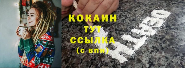 спиды Белая Холуница
