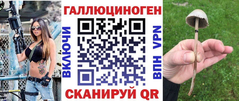 Галлюциногенные грибы Psilocybine cubensis OMG ССЫЛКА Тулун дарнет шоп