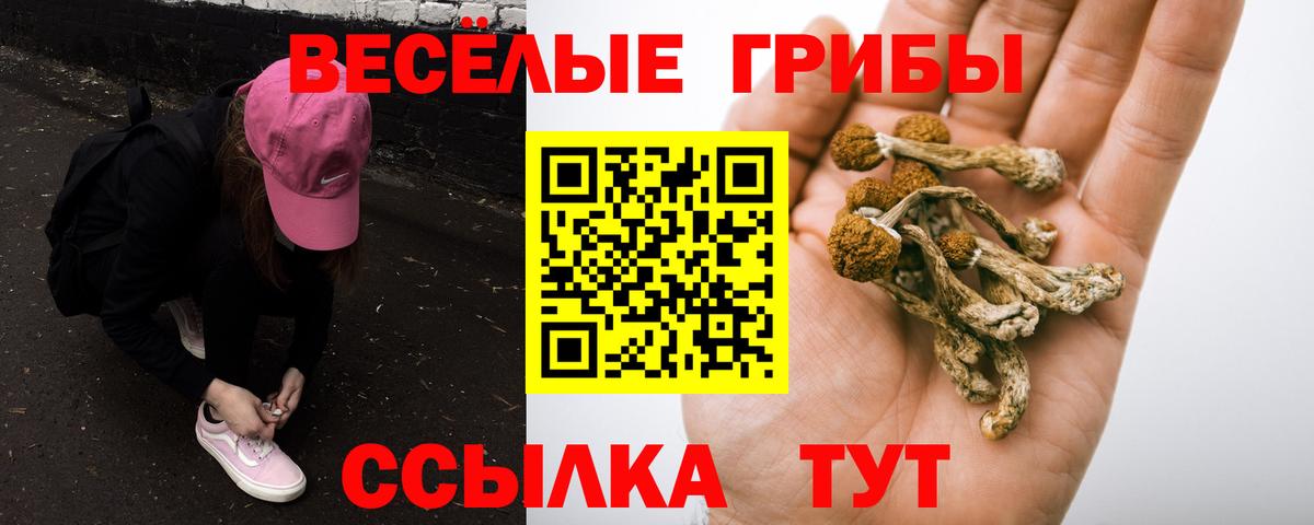 Галлюциногенные грибы прущие грибы  даркнет сайт  Вход с VPN  Тулун  Псилоцибиновые грибы Psilocybe 