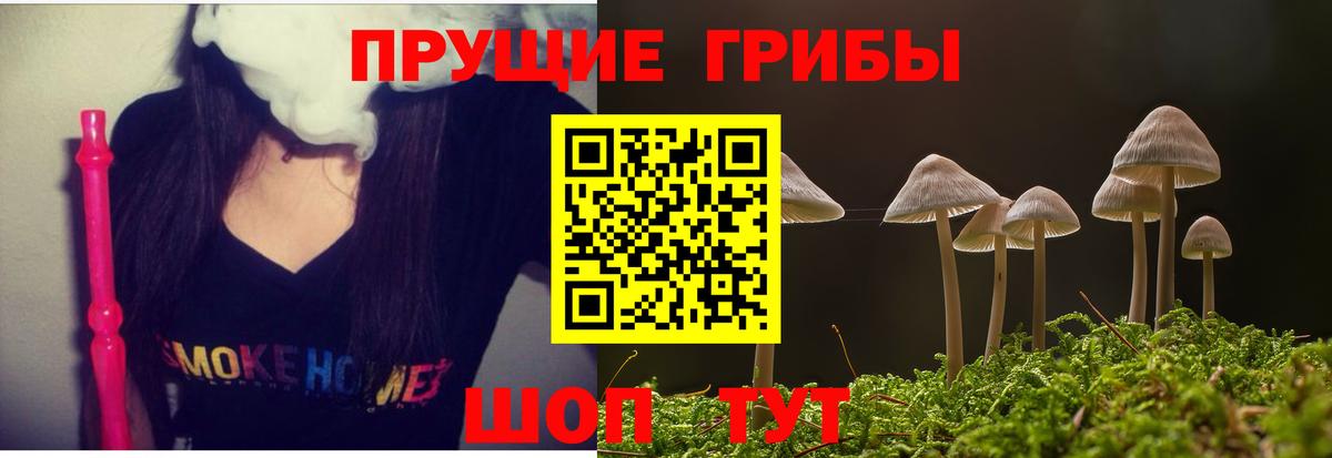 Галлюциногенные грибы Magic Shrooms  купить   Тулун 